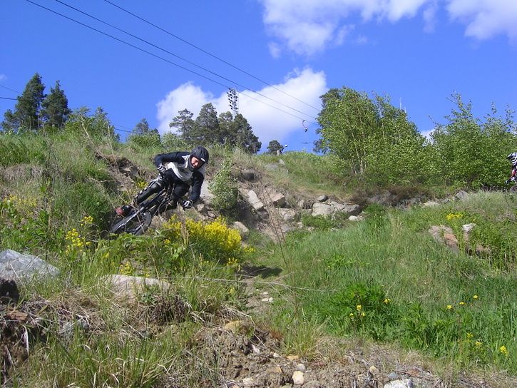 dh042.jpg ht=544
