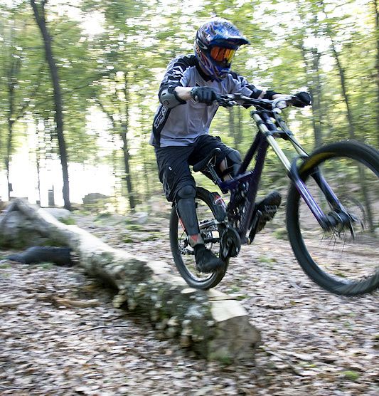 dhrlogride.jpg ht=556