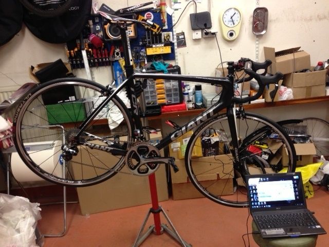 Di2.jpg