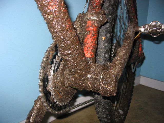 dirty_bike1.jpg ht=480
