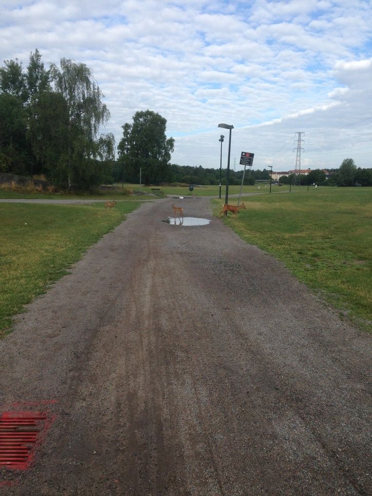 djur1.jpg