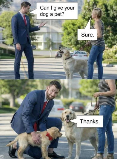 dog.webp
