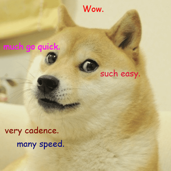 doge1.png