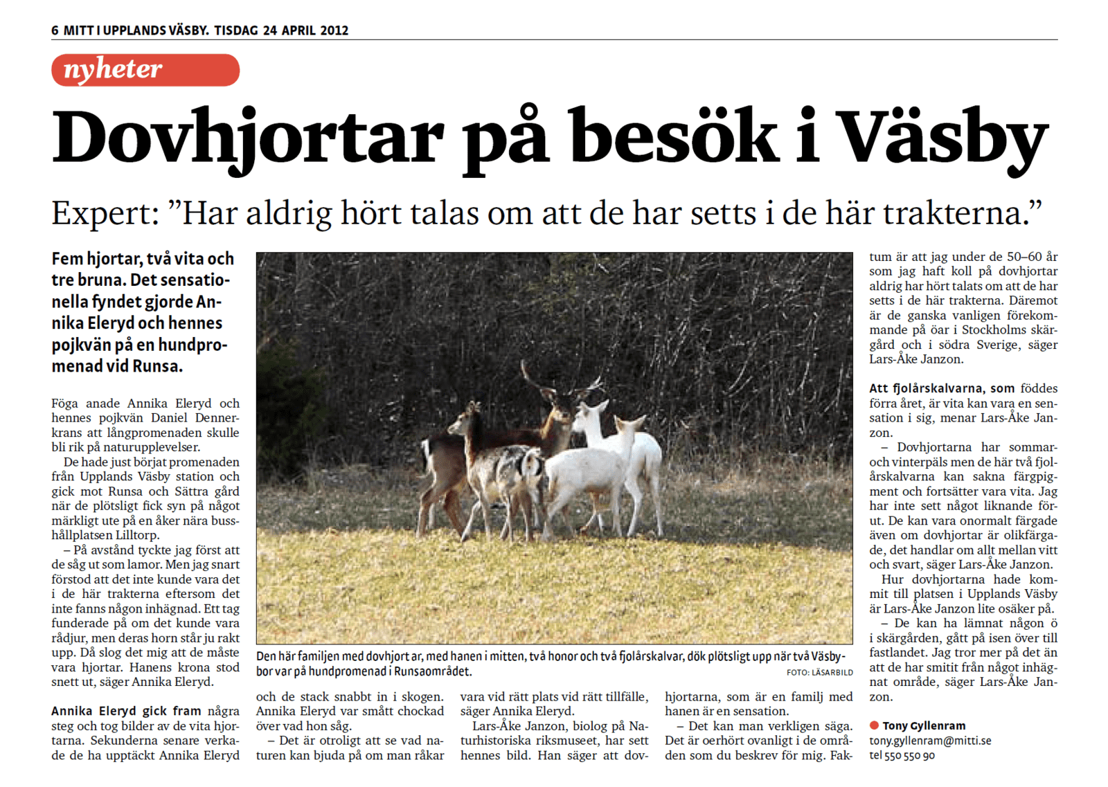 DovhjortiVsby.PNG