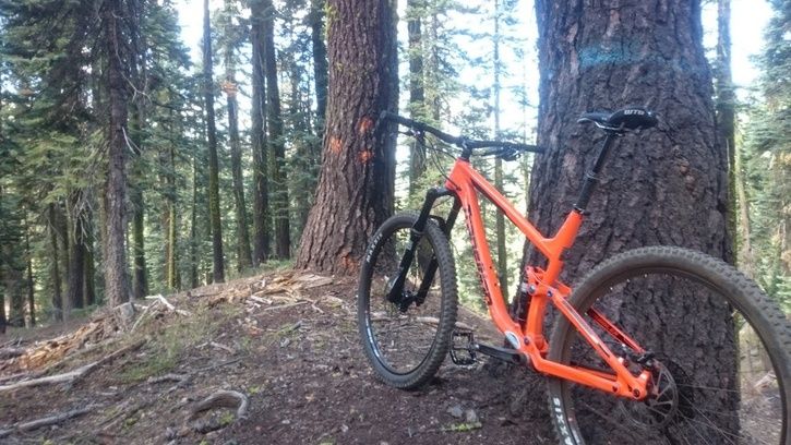 Downieville.jpg