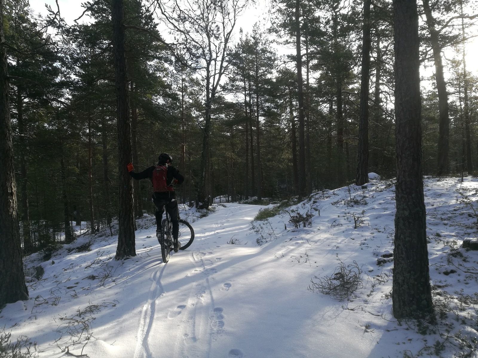 download_20180217_144846.jpg