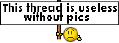 pic.jpg