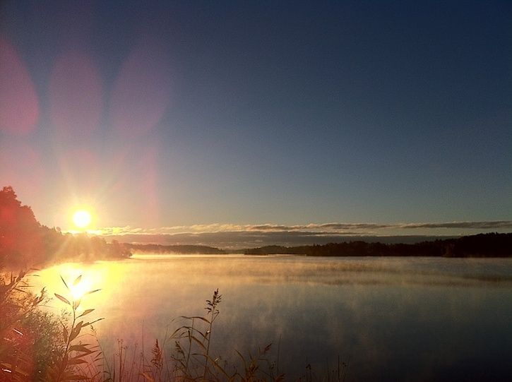 drevviken.jpg