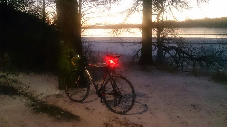 drevviken.jpg