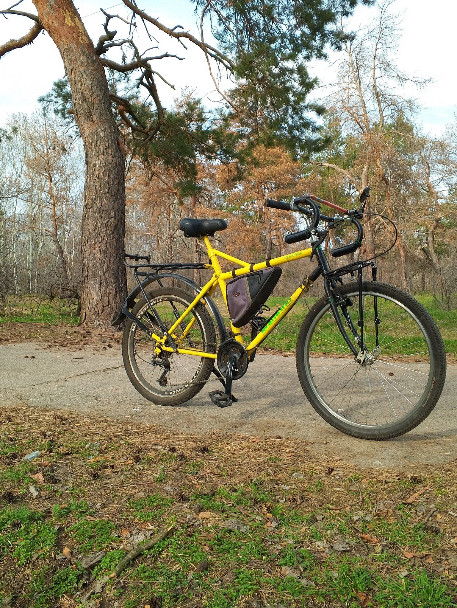 Drop bar anything bike.webp