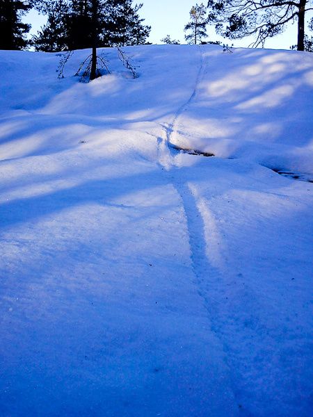 DSC00022_x.jpg ht=600