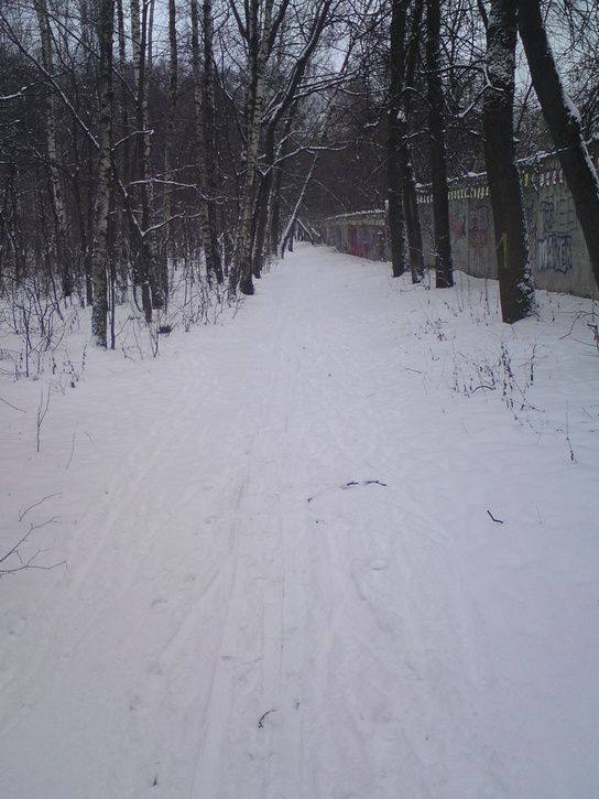 DSC00039.JPG ht=725