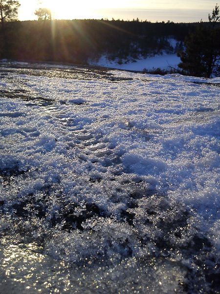 DSC00043_x.jpg ht=600