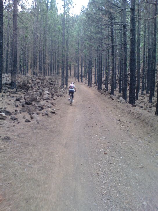 DSC00045-2.JPG ht=725