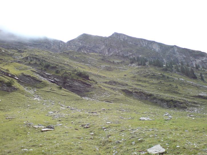 DSC00064.JPG