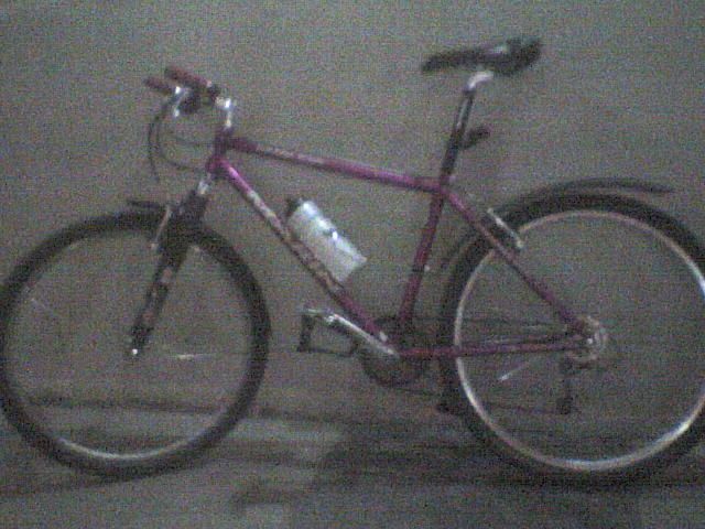 DSC00090.JPG ht=480