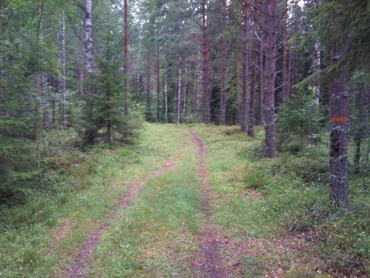 DSC00130.JPG