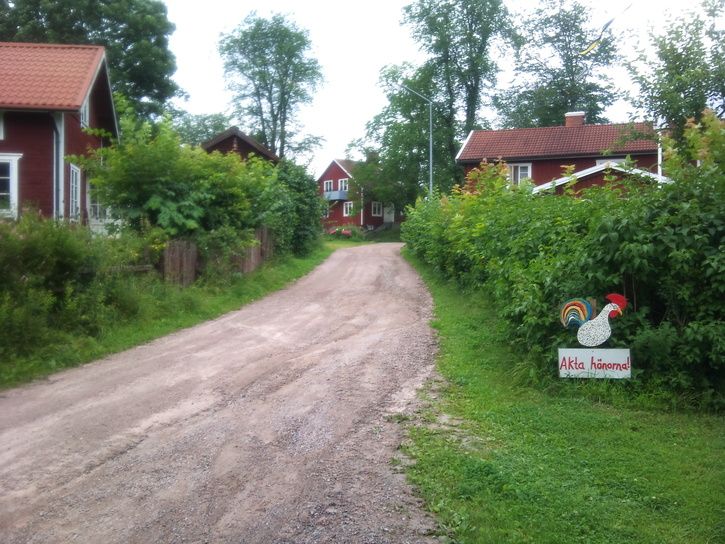 DSC00138.JPG