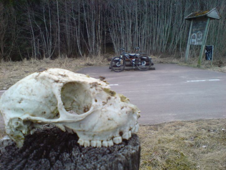 DSC00139.JPG ht=544