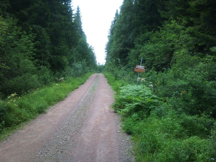 DSC00144.JPG