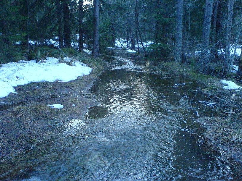 DSC00196liten2.JPG