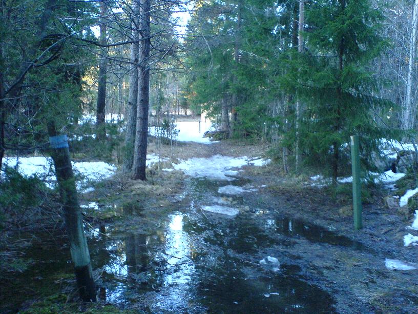 DSC00197Liten.JPG