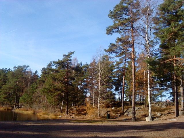 DSC00252.JPG
