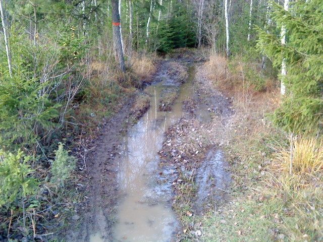 DSC00253.JPG