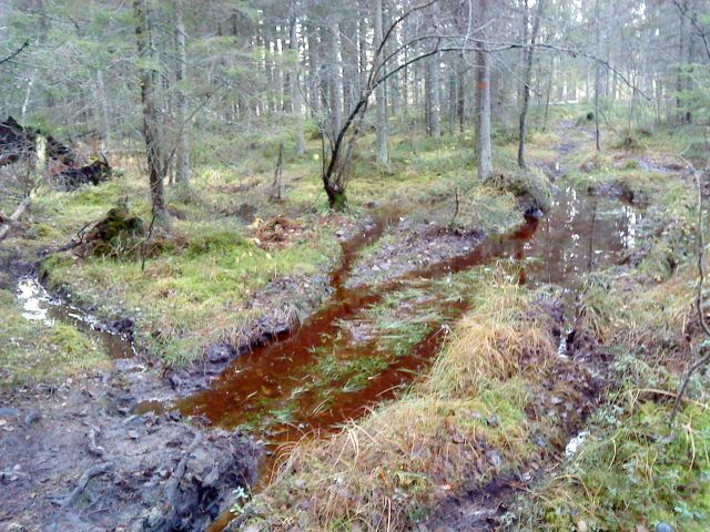 DSC00254.JPG