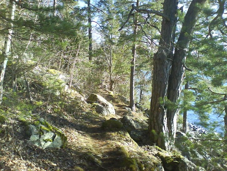 DSC00338.JPG ht=544
