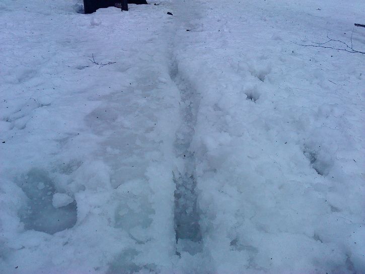 DSC003581.JPG ht=544