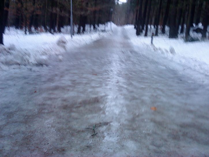 DSC003591.JPG ht=544