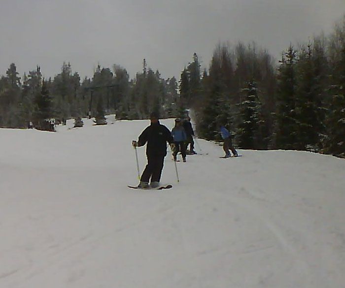 DSC00387.jpg ht=585