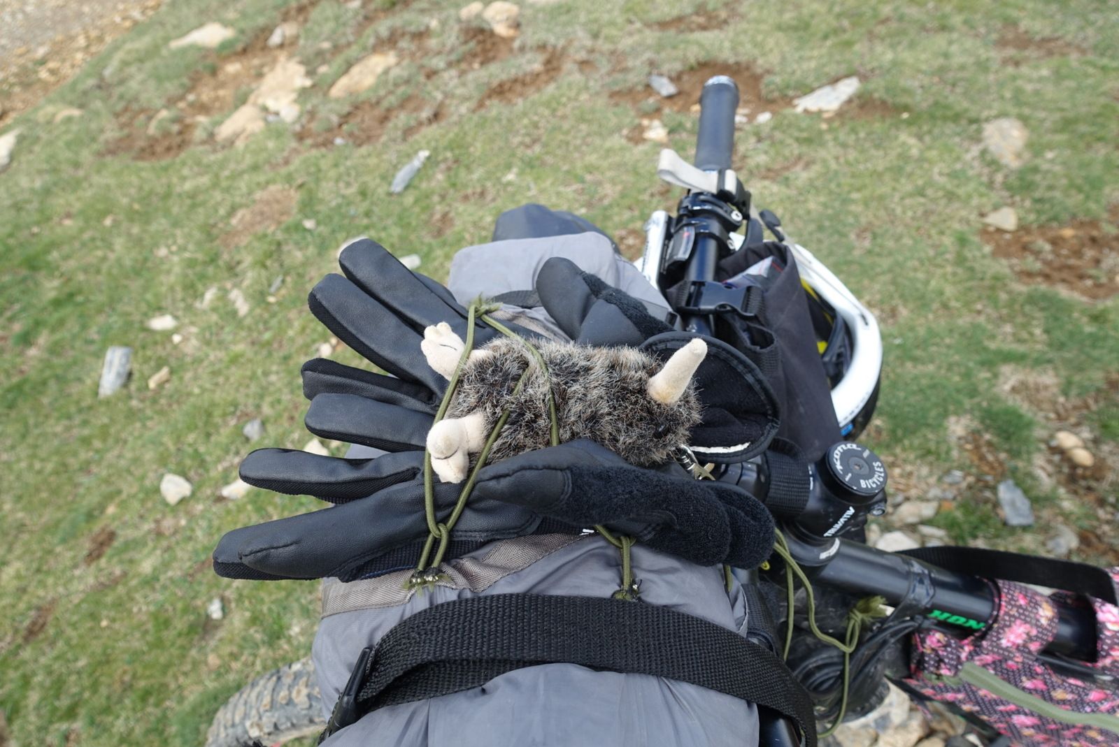 DSC00416.JPG