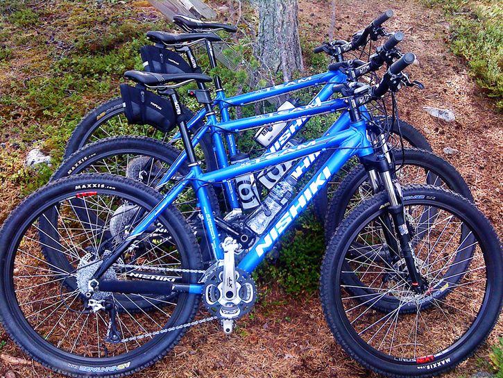 DSC00441_webb.jpg ht=544