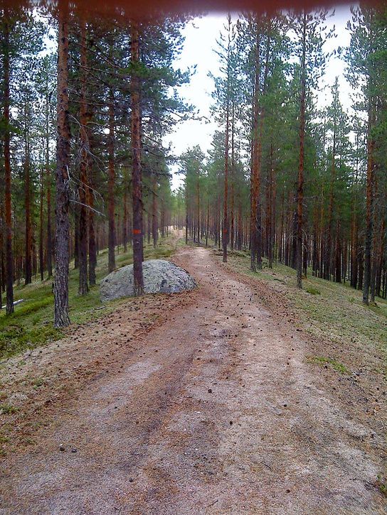 DSC00446_webb.jpg ht=725