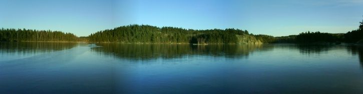 DSC00464.JPG ht=188