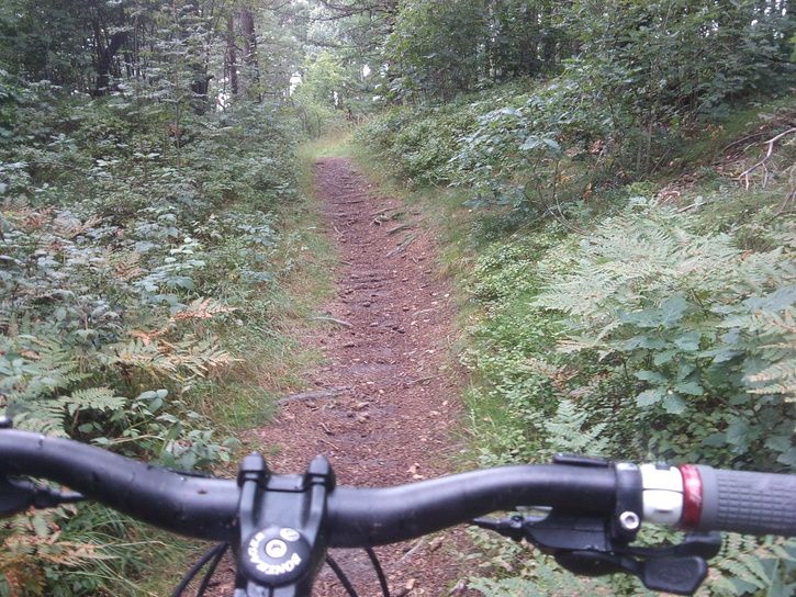 DSC00477.JPG ht=544
