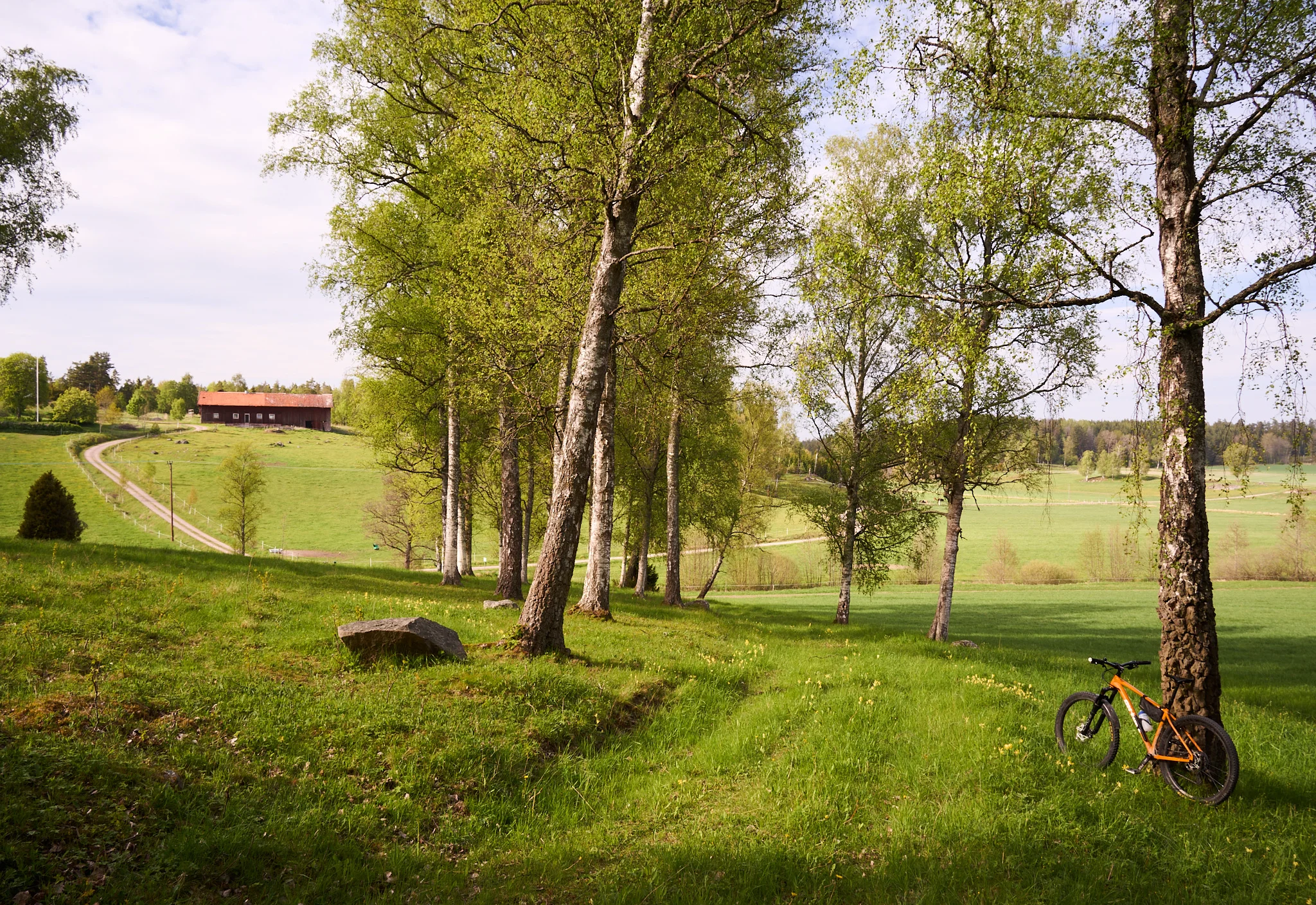 DSC00483_2048.webp