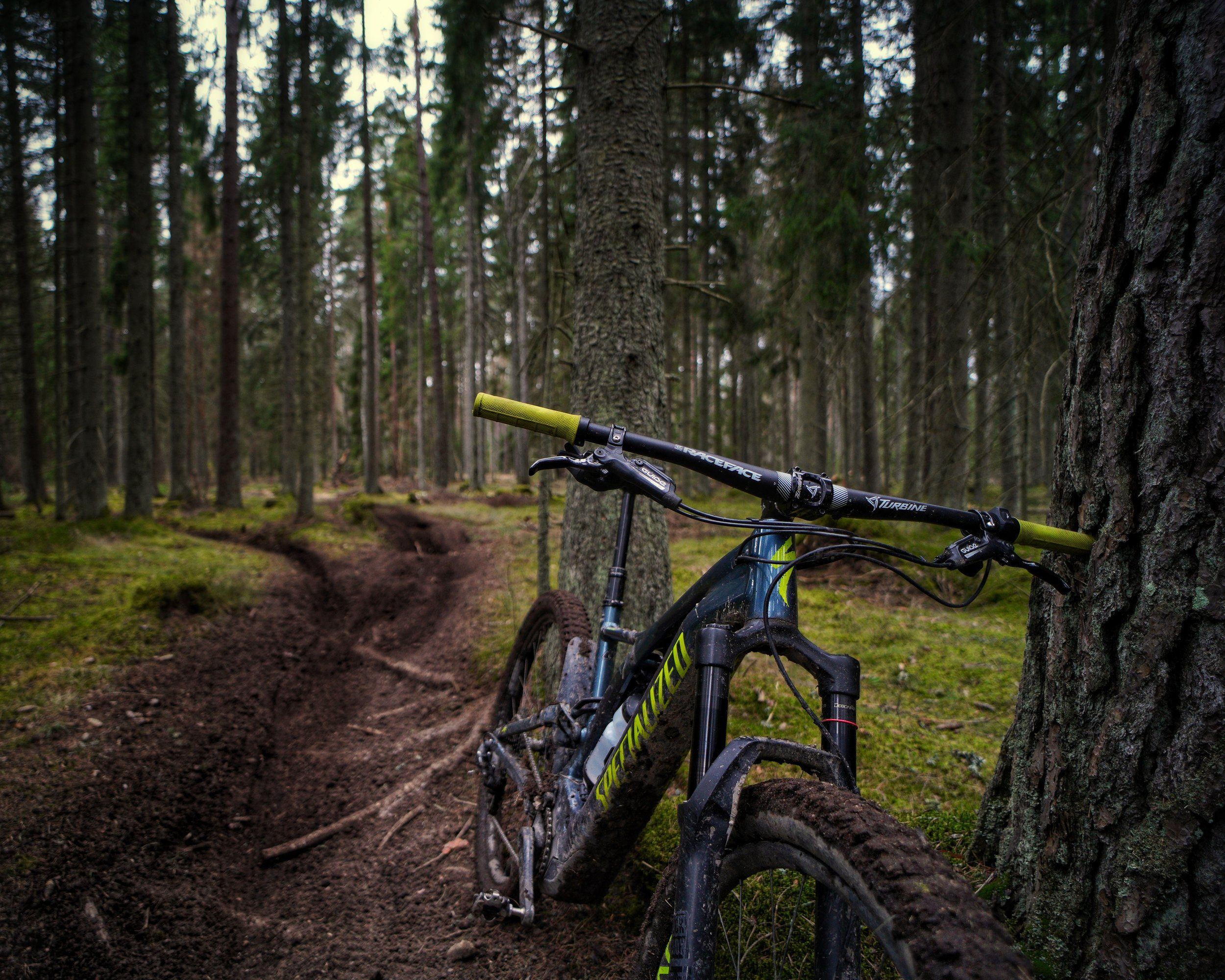 DSC00485-01.jpg