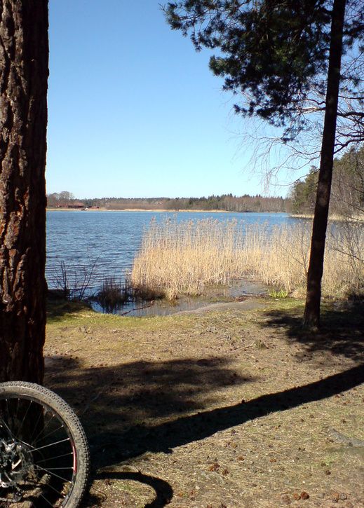 DSC00503_redigerad.JPG ht=725