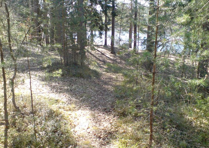 DSC00506_redigerad.JPG ht=515