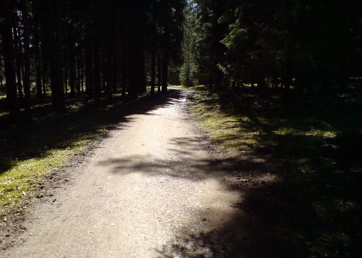 DSC00510_redigerad.JPG ht=517