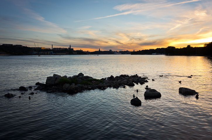 DSC00522.jpg