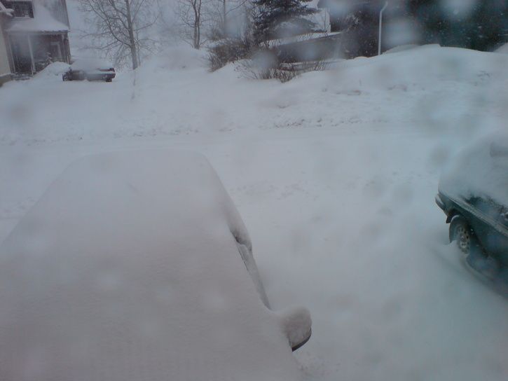 DSC00528.JPG ht=544