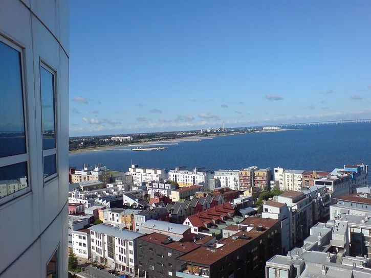 DSC006033.JPG ht=544