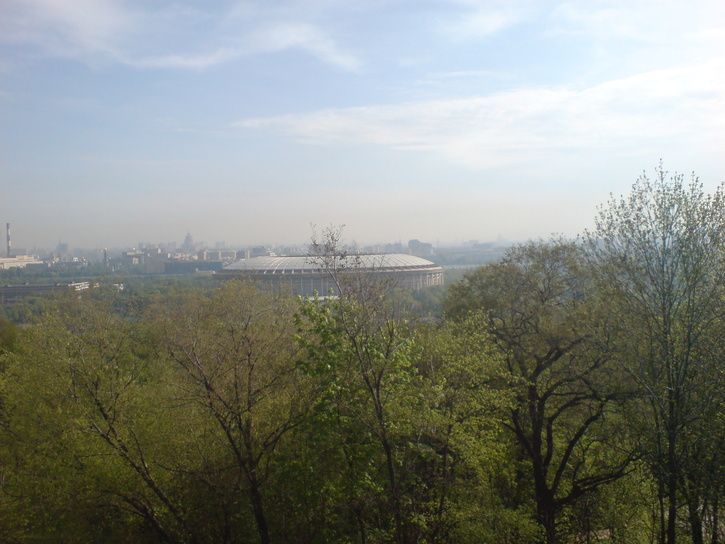 DSC00628.JPG ht=544