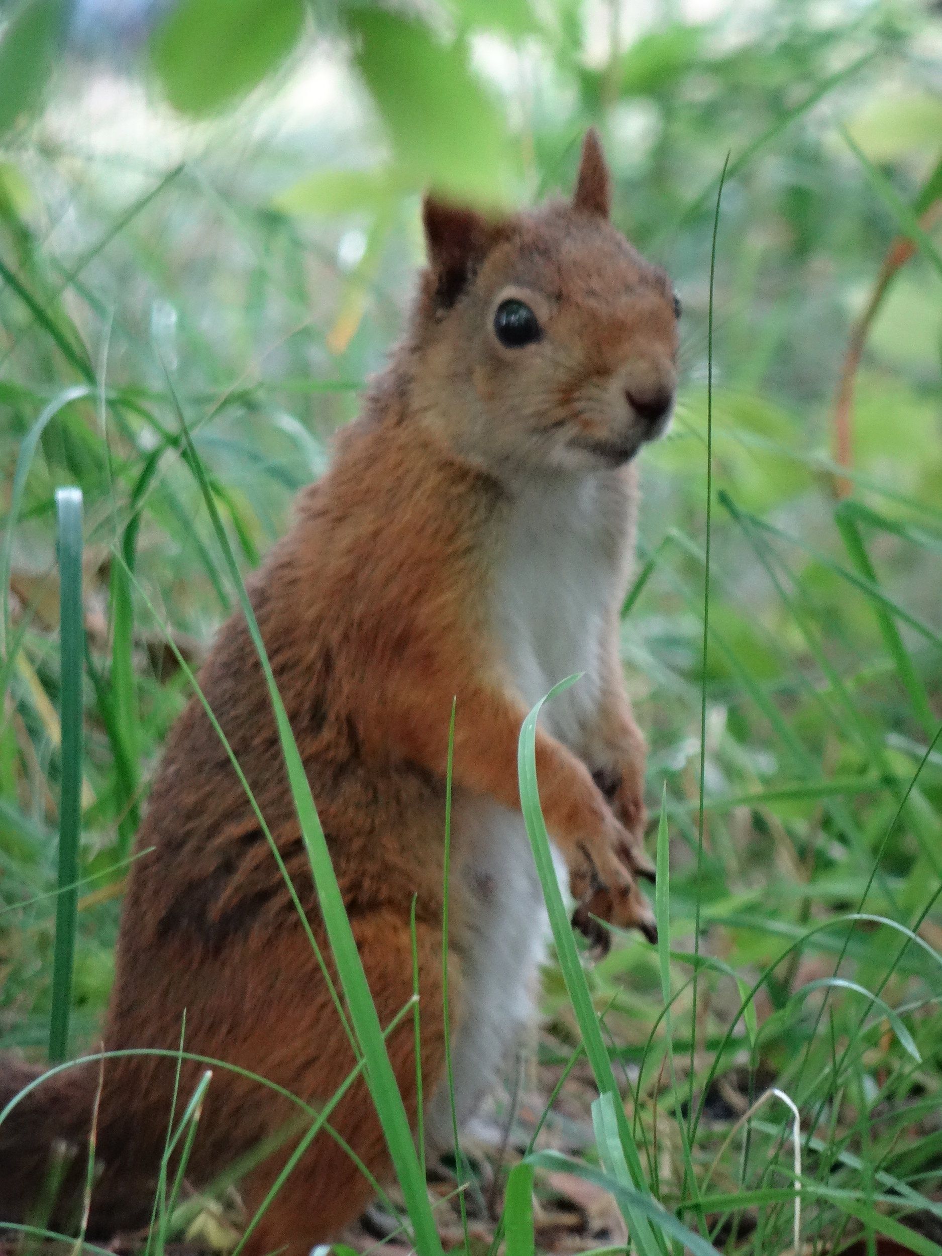 DSC00772.JPG
