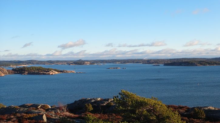 DSC00835.JPG