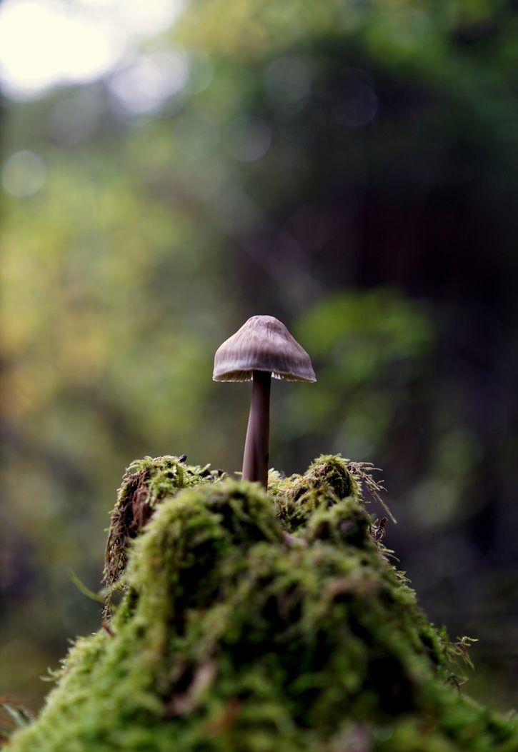 DSC01057.JPG